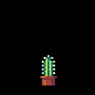 San Pedro Cactus